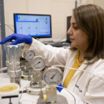 Dr. Nazanin Vafaei working in her lab studying canola oil.