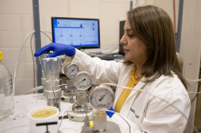 Dr. Nazanin Vafaei working in her lab studying canola oil.