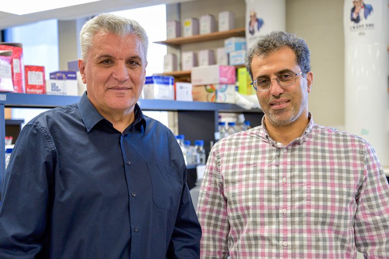 Dr. Ned Budisa and Dr. Hamid Karbalaei-Heidari.