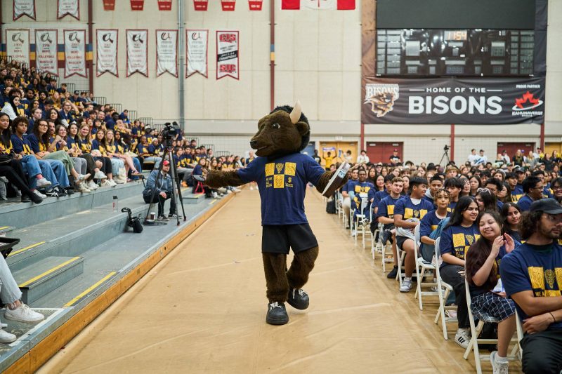 UM's mascot, a bison, walks down the center aisle of a packed gymnasium during an orientation pep rally. The mascot wears a blue T-shirt with gold designs, matching the audience's attire. Students seated in rows clap and smile, while banners and a scoreboard reading "Home of the Bisons" are visible in the background.