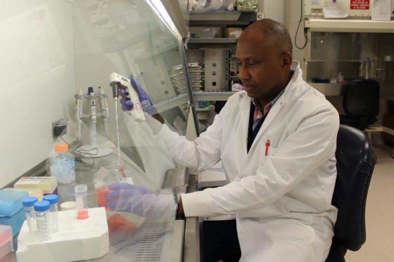 Dr. Jude Uzonna is seated in his lab. He uses scientific equipment from behind a protective shield.