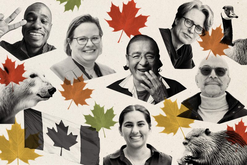 A series of faces, in black and white, on a cream background, with maples leafs scattered