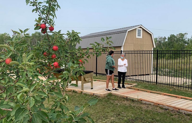 Corrine Clyne speaks with an Elder on a boardwalk. A tree with fresh fruit is seen in the foreground.