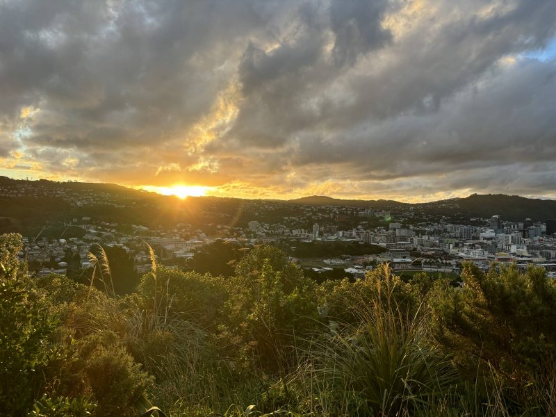 Jordan Braun - Nursing Student mobility experience in New Zealand - vista of city