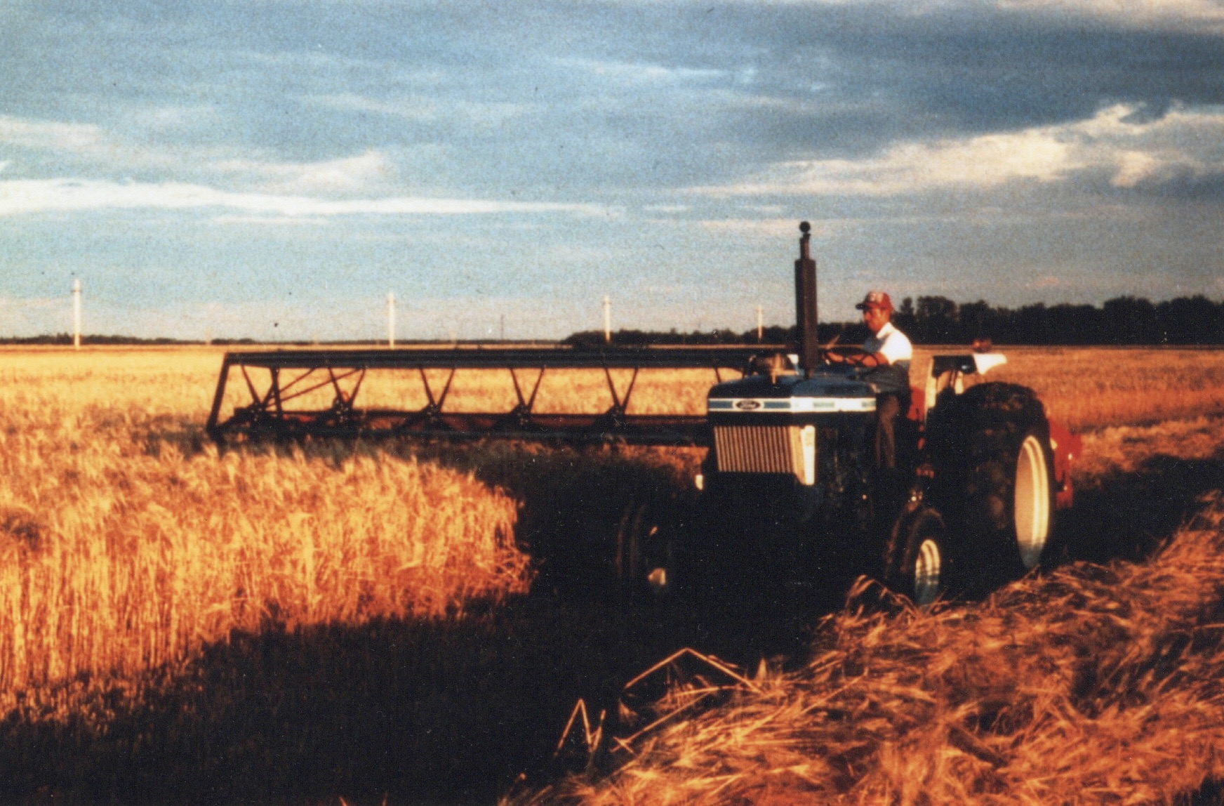 Herb Meier working in the field