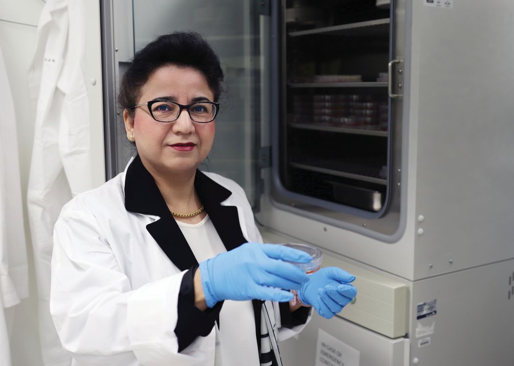 Dr. Mojgan Rastegar, wearing a lab coat and plastic gloves, holds a dish of cells.