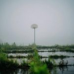 A basketball court is over grown with weeds and being taken over with flood water (credit Harrison Haines)