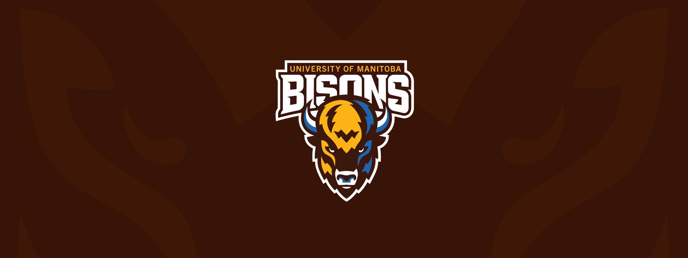 The 2025 Bisons head logo on a brown background with Bison detailing