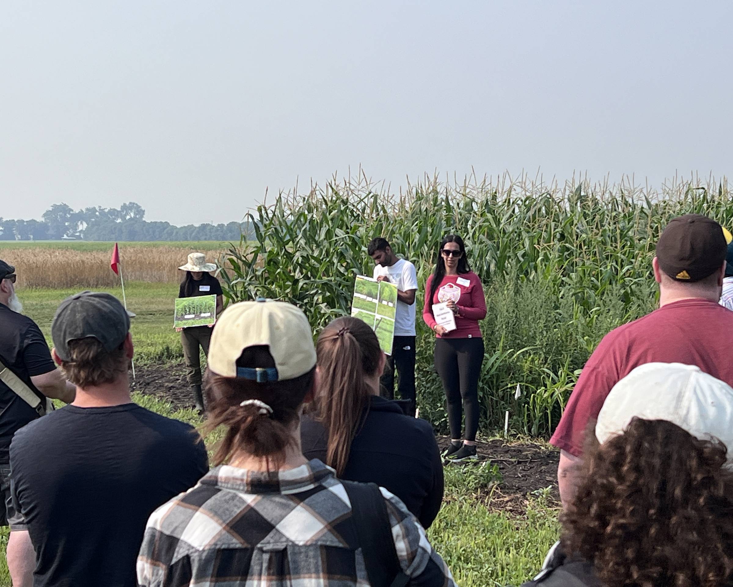 People attend Field Day 2025