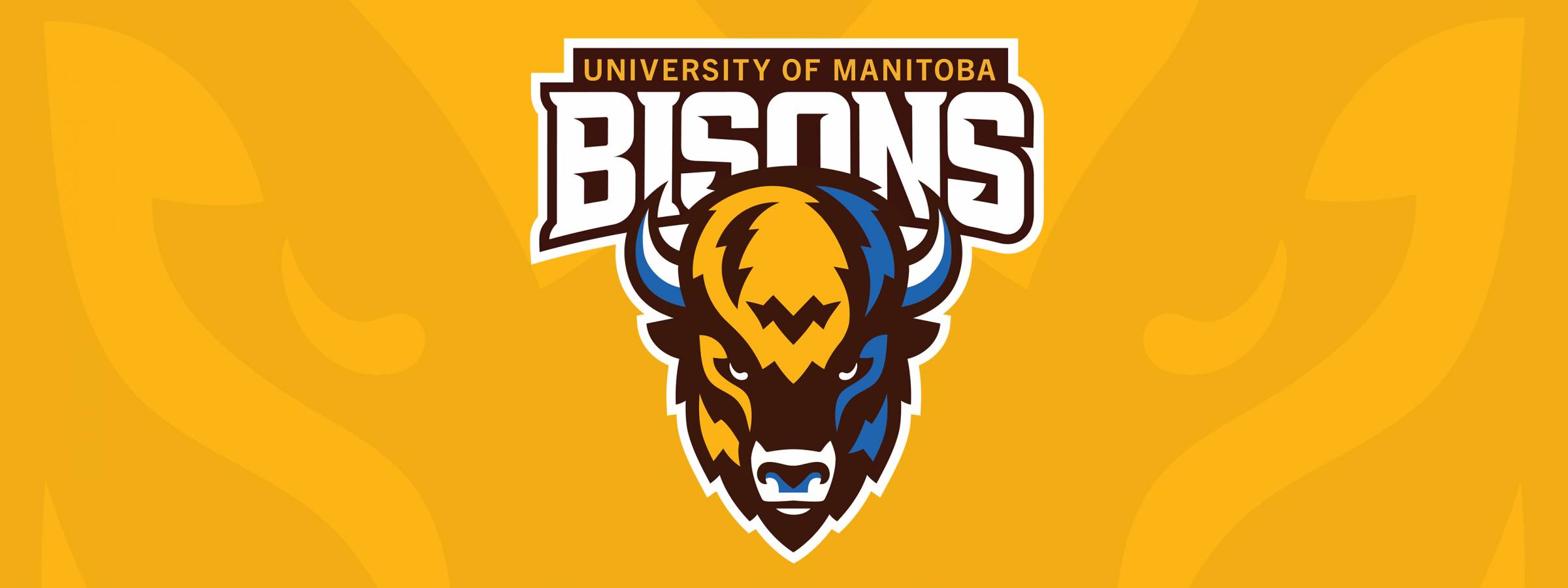 The 2025 Bisons head logo on a yellow background with Bison detailing