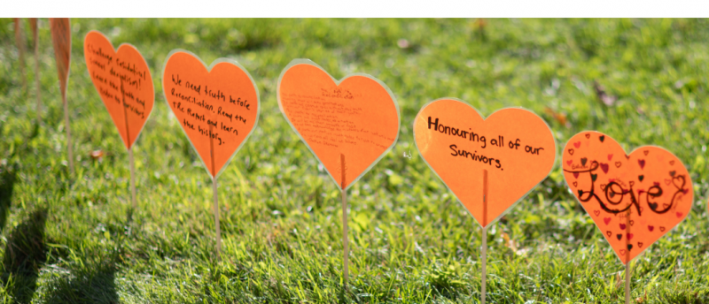 Heart garden in 2024.