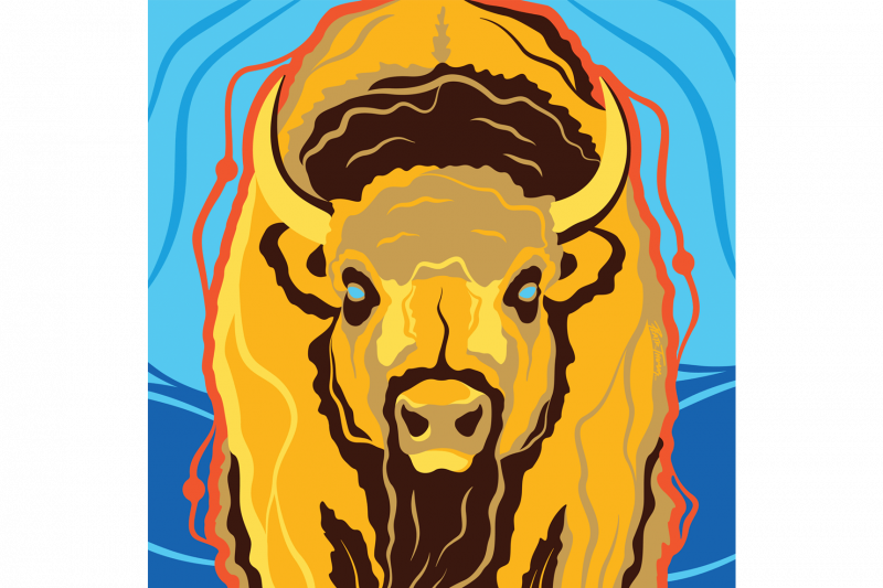 Illustration of Indigenous bison by Peatr Thomas.