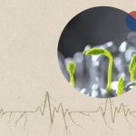 A collage image showing microgreens and roots in the shape of an EKG display