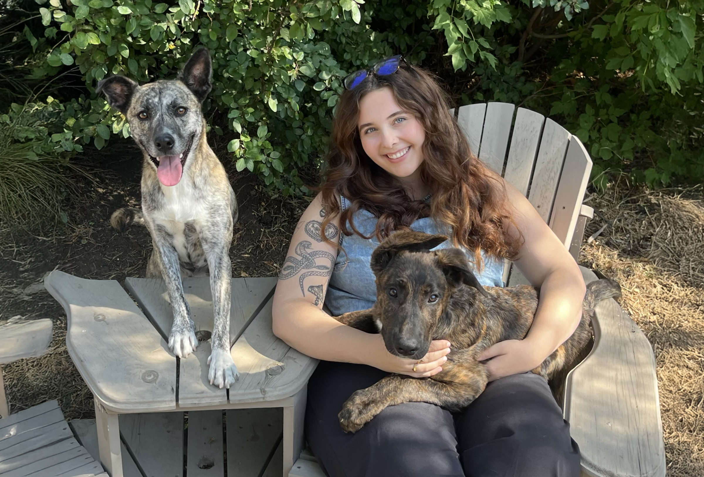 MSW student Emma Cowman, sitting outside with her 2 dogs