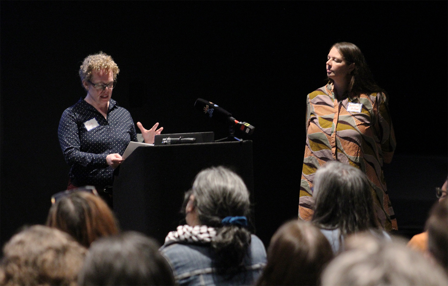 Dr. Julie Chamberlain (left) and Dr. Christine Mayor stand at the podium in front of community members, university students and project partners presenting their study findings.