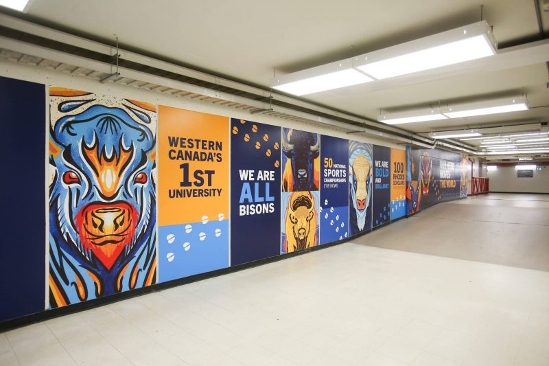 A mural displaying bison illustrations and facts and figures is shown on a wall in a tunnel between UMSU and the Engineering Complex.