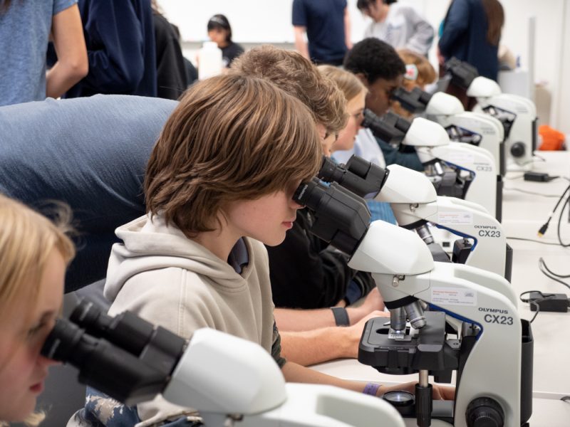 Group of students in a classroom using microscopes.