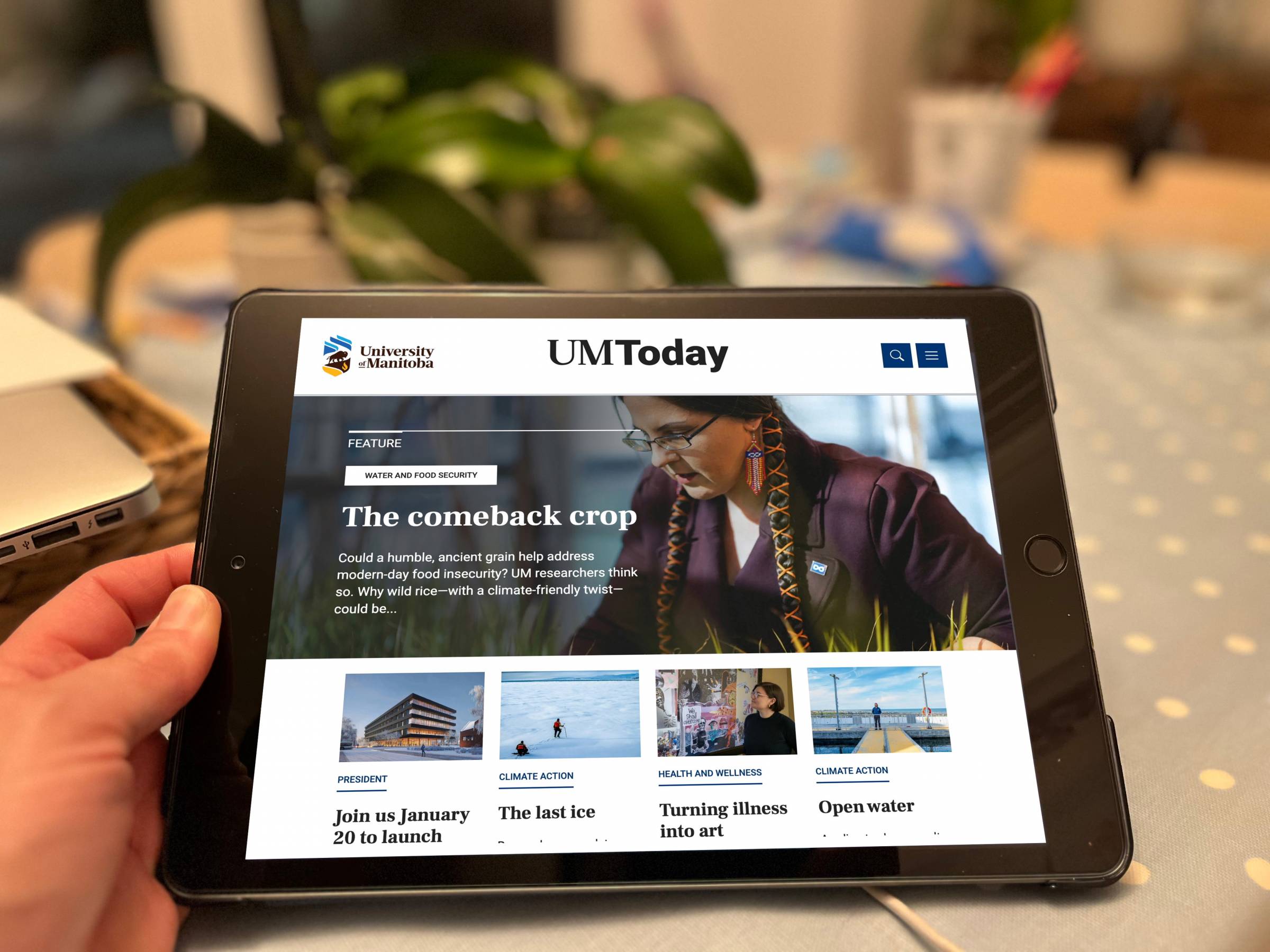 Hand holding a tablet displaying the University of Manitoba’s UM Today news site, featuring a story titled “The comeback crop."