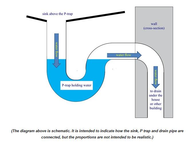 Floor Drain P Trap Diagram