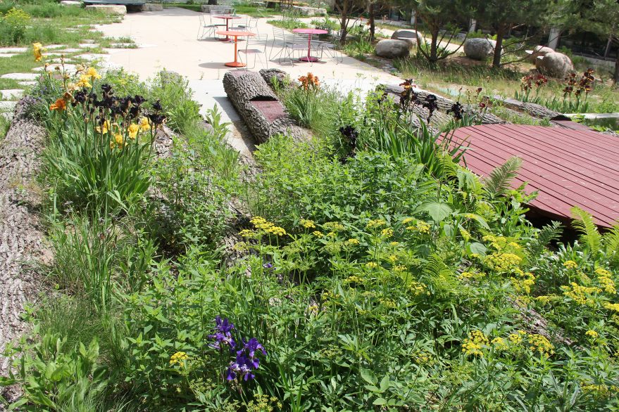 Image-6_Chlorophyll-Topographies Image-6_Chlorophyll-Topographies