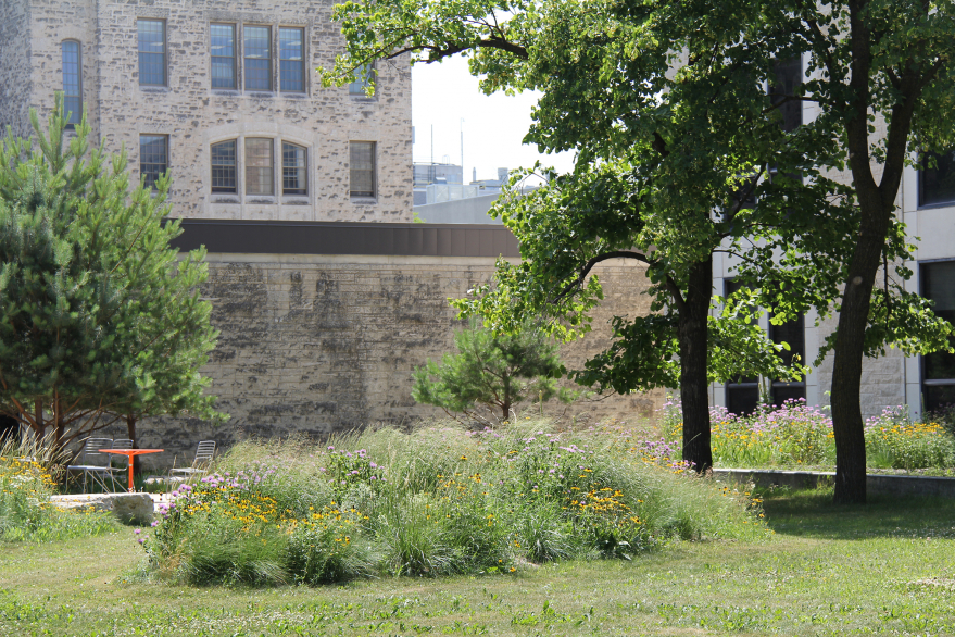 Image-9_Light-Views-Niches-Edges-Shadows Image-9_Light-Views-Niches-Edges-Shadows