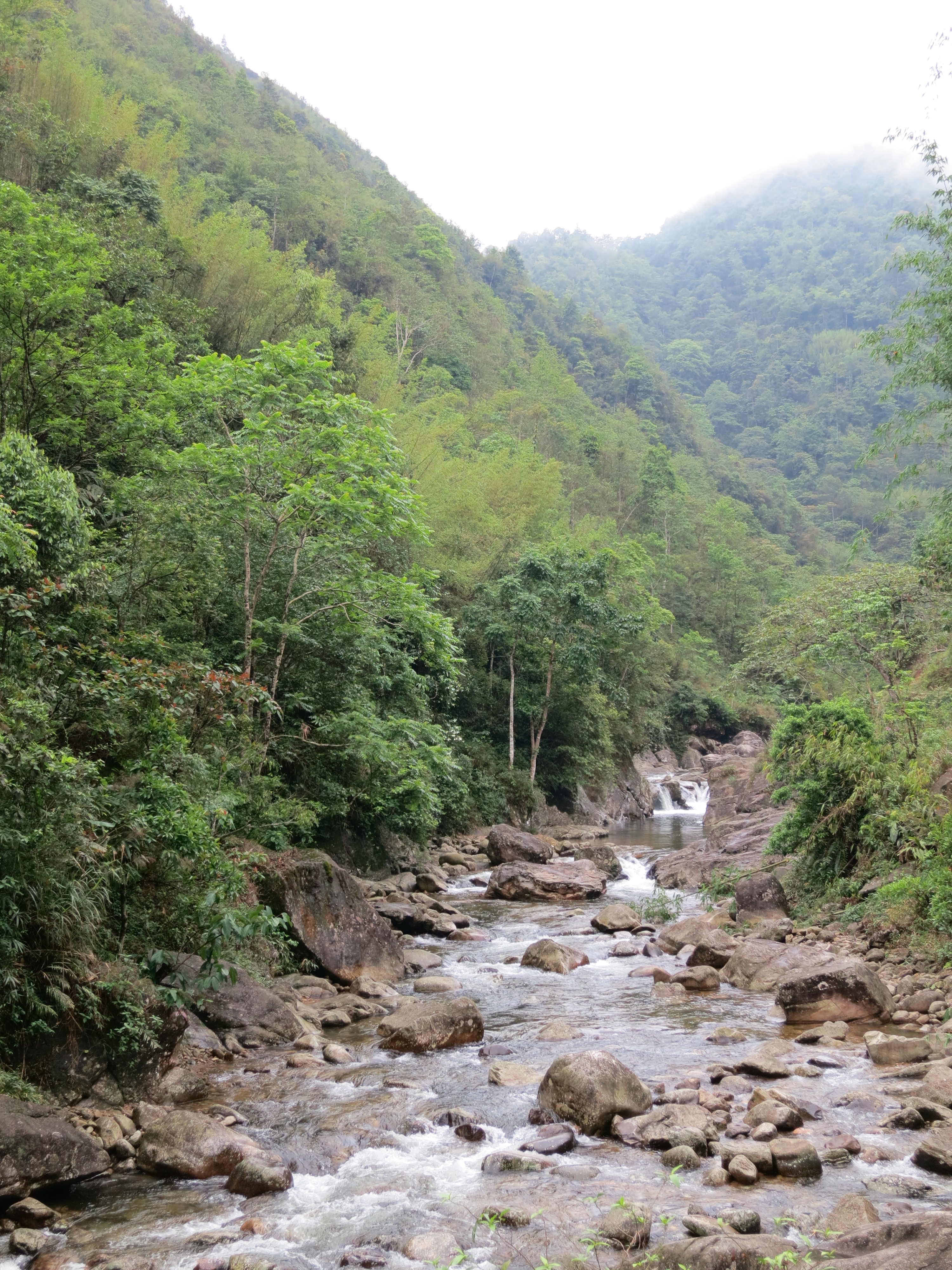 Hoang Lien Mountains
