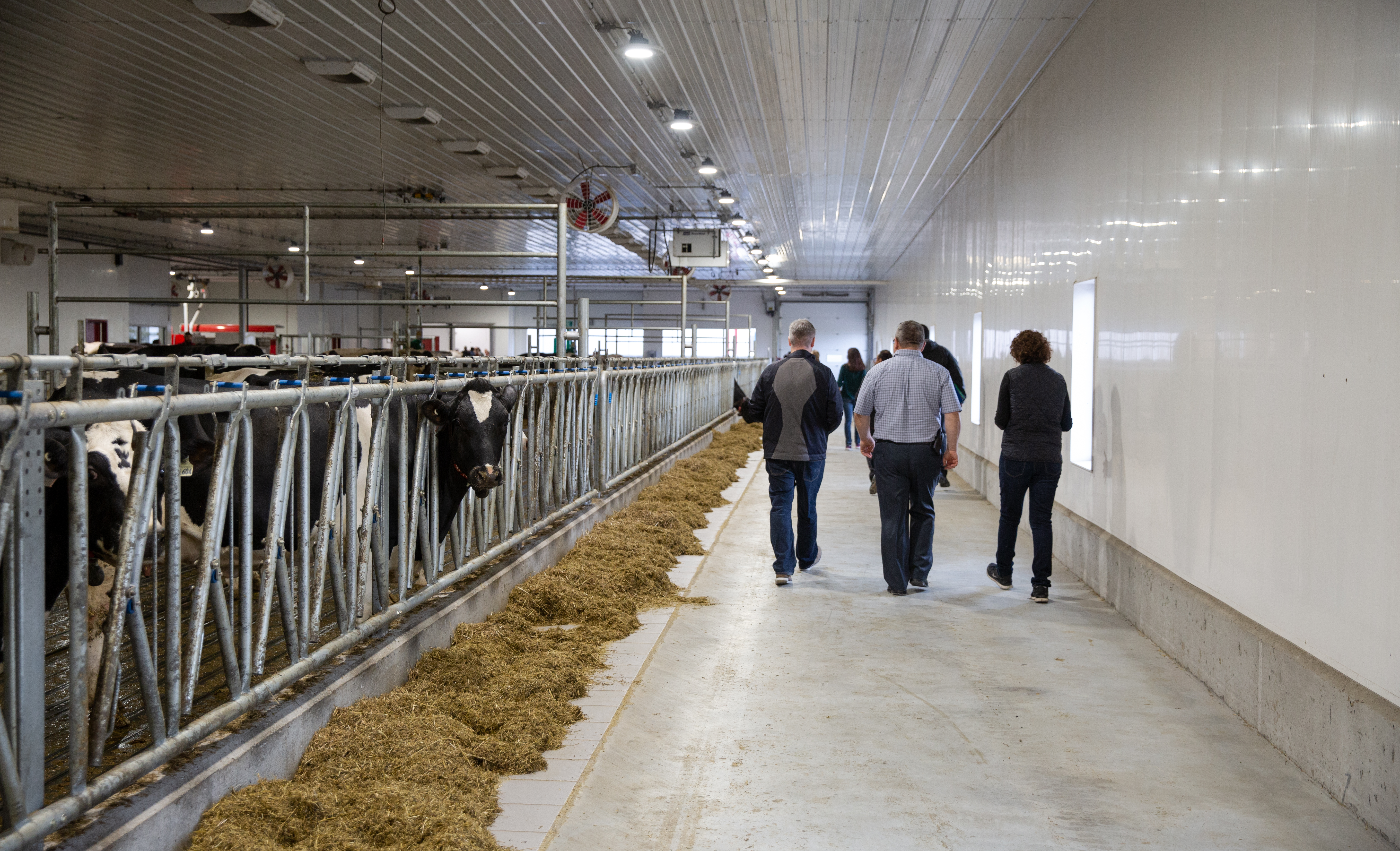 The feed aisle where a robotic feeder travels