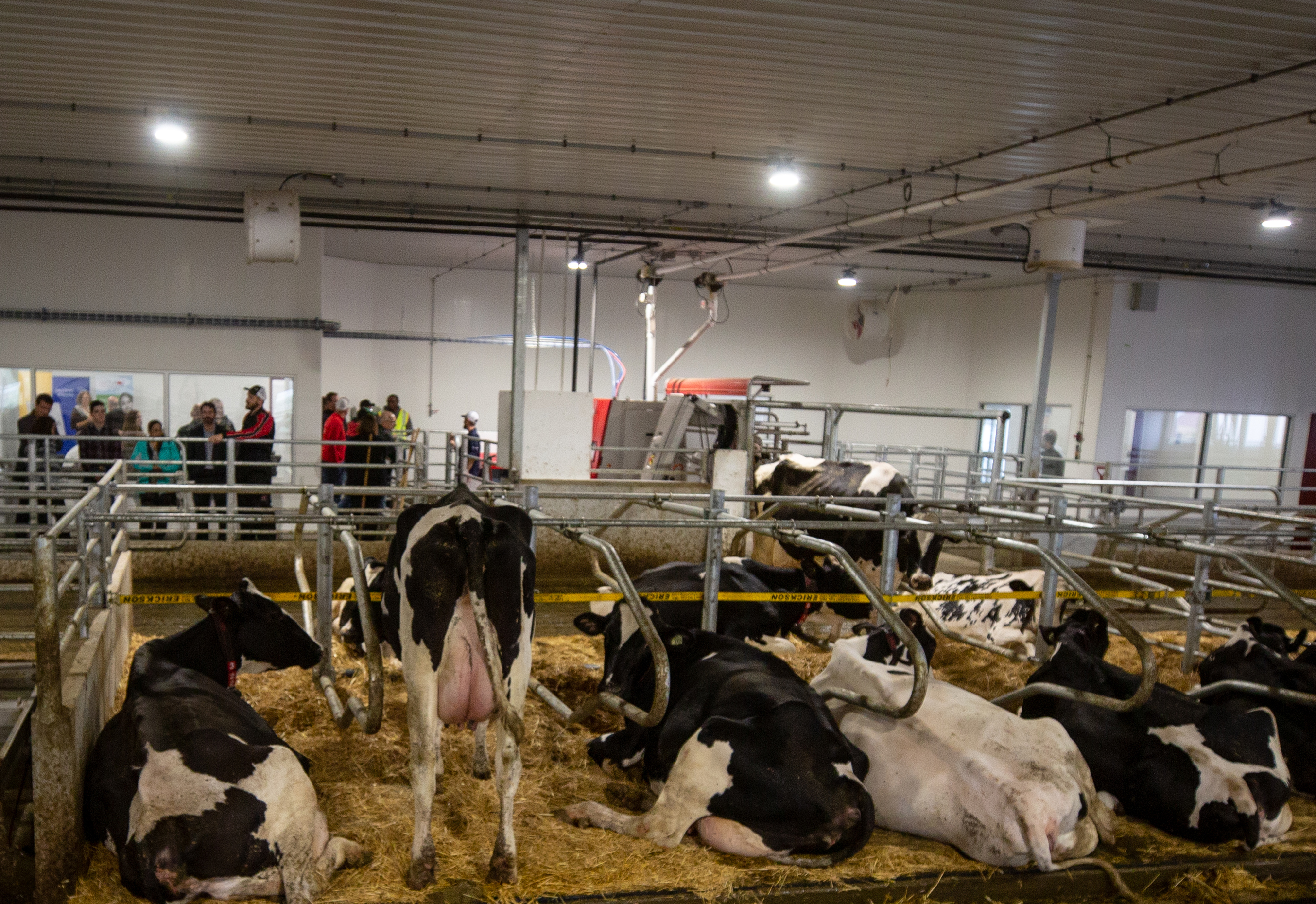 Researchers will be able to individually manage multiple groups of animals in a free-stall setting