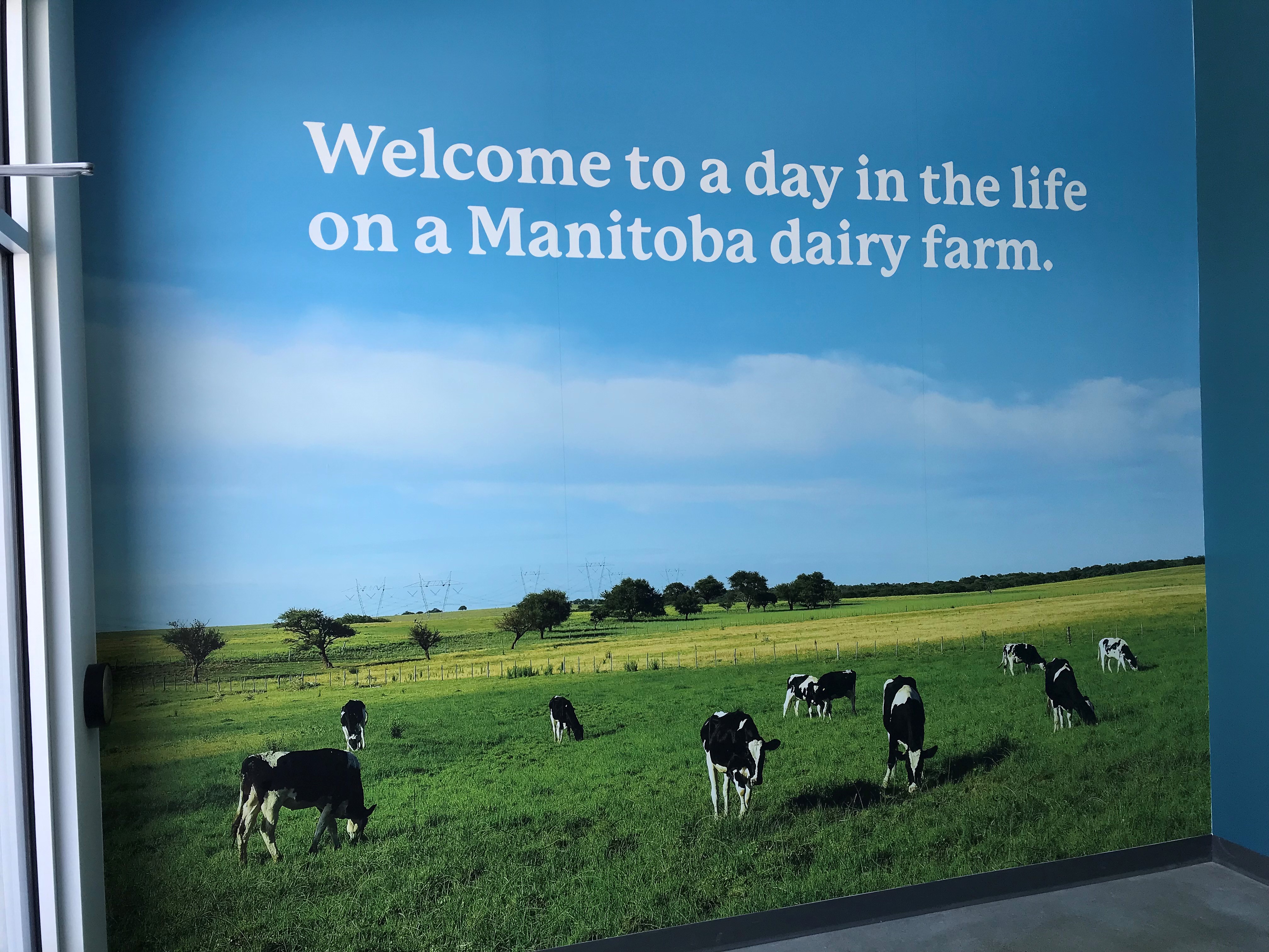 Welcome to a day in the life on a Manitoba dairy farm