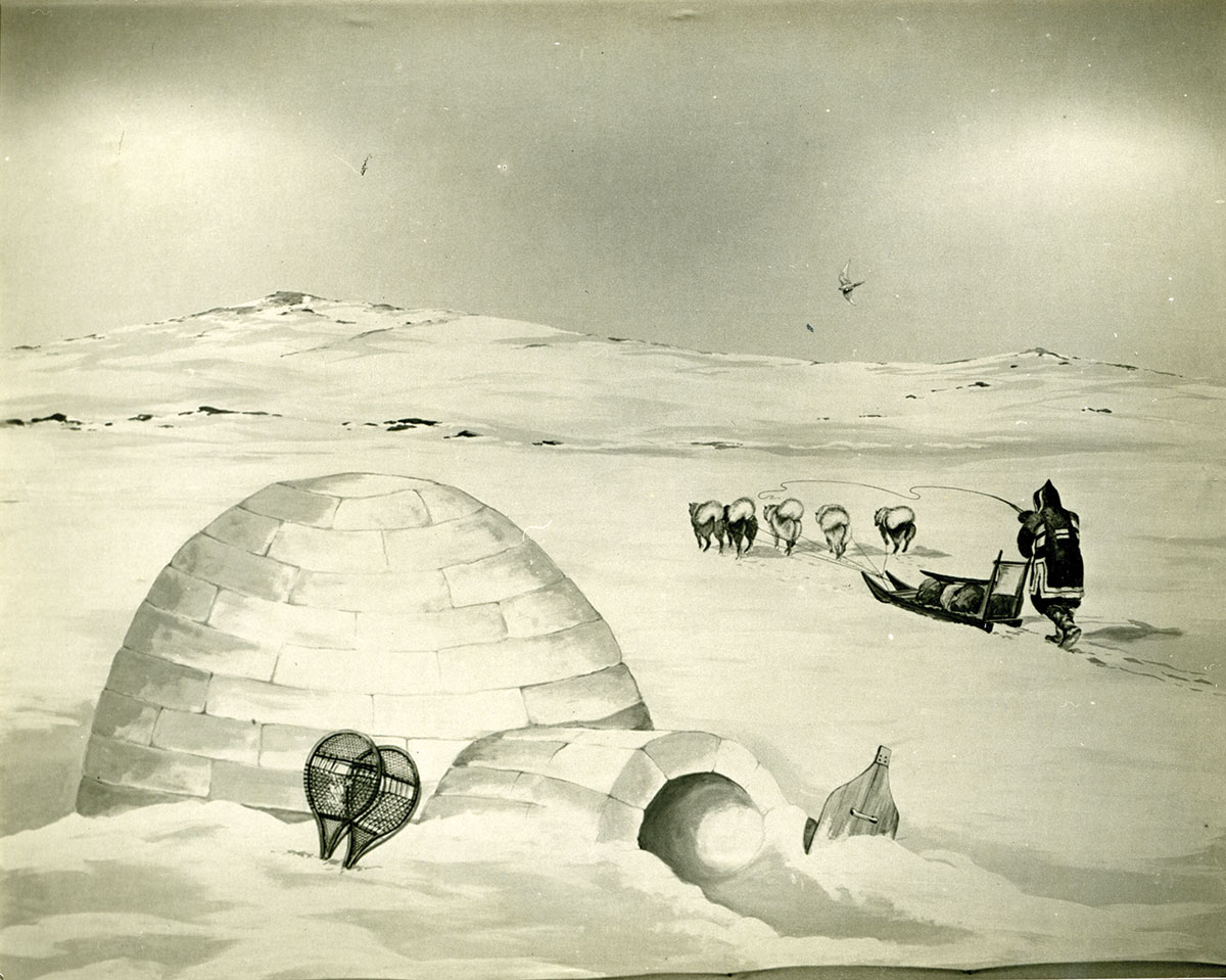 An illustration of an igloo and dogsled.