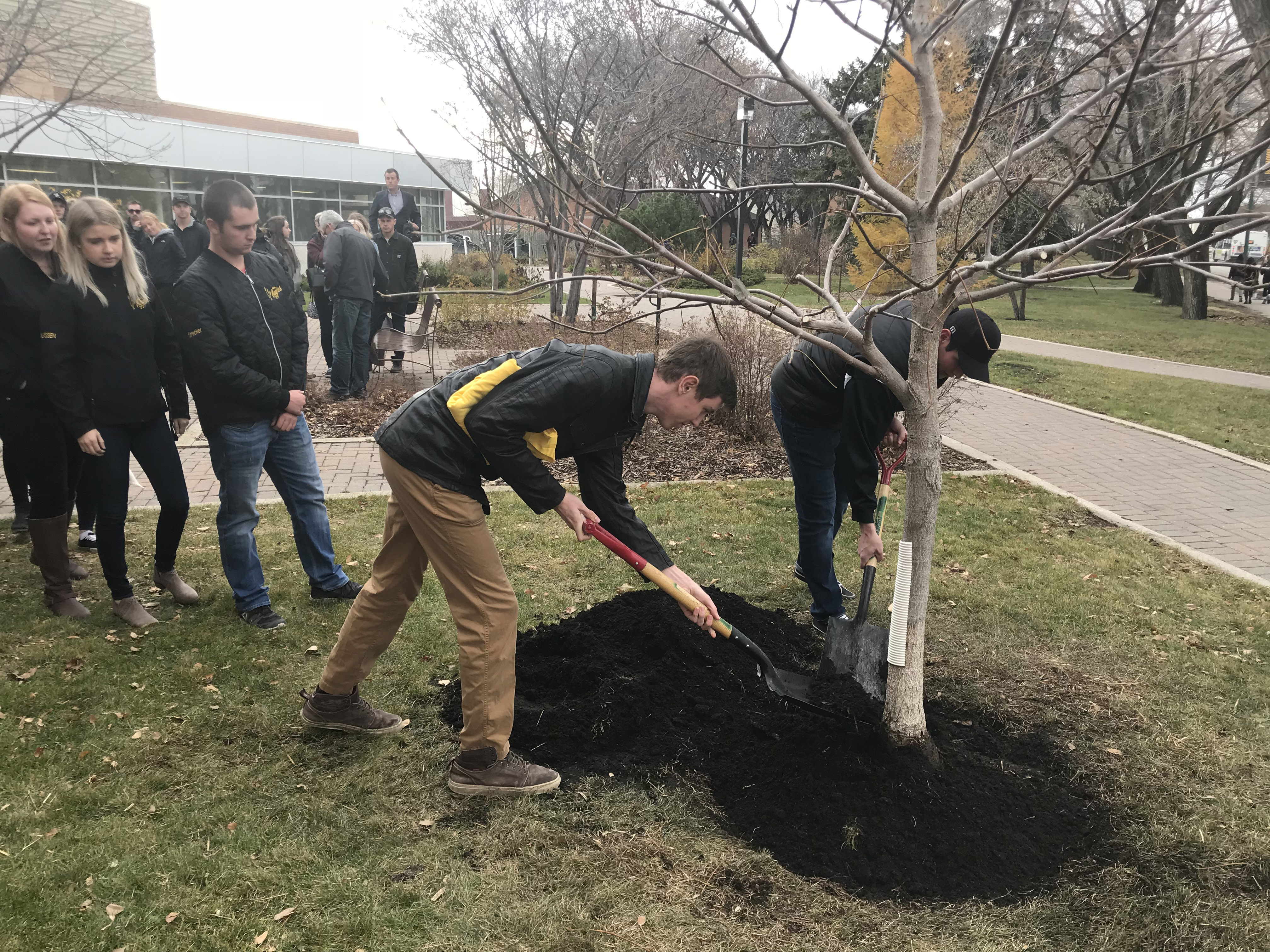 Students helped with the planting of the memorial tree.