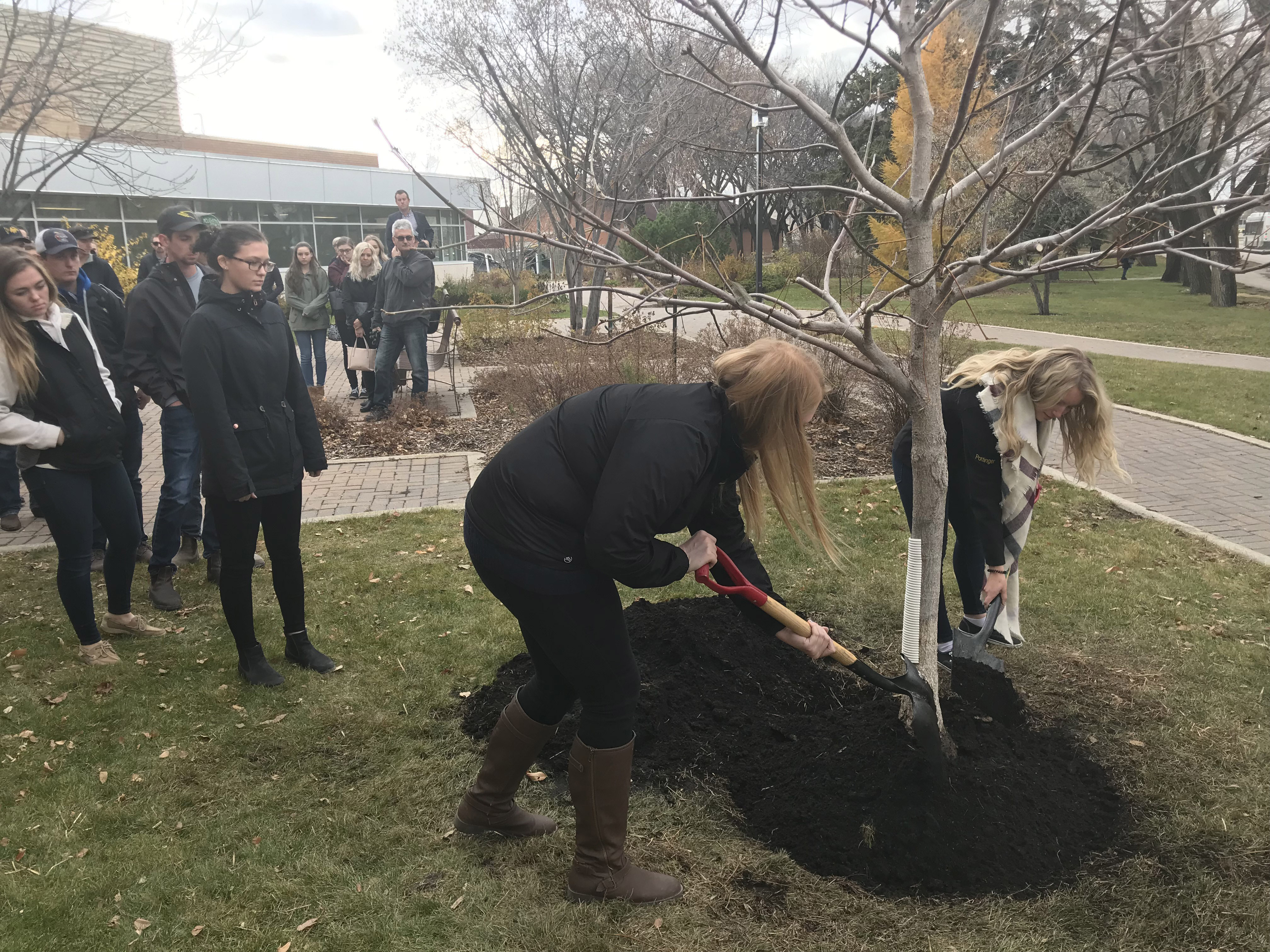 Students helped with the planting of the memorial tree.
