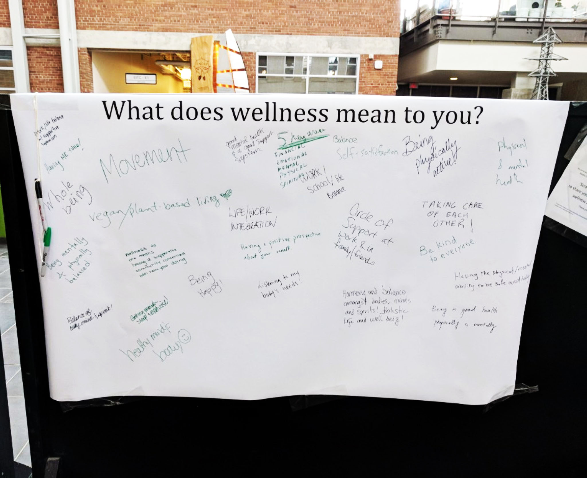 What does wellness mean to you?
