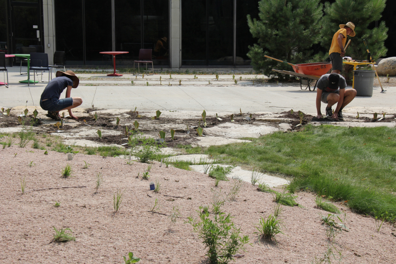 Two people planting in a landscaped area with pebbles, bordered by greenery, near café-style tables and chairs.