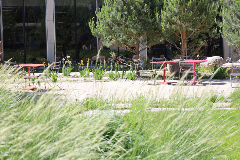 An outdoor garden seating area features tall grass, circular red tables with metal chairs, flowerbeds of orange and white flowers, and young pine trees.