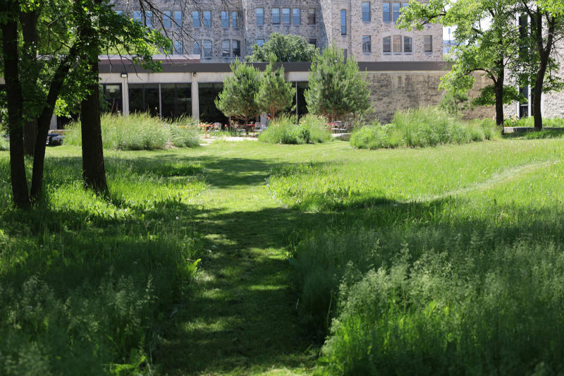 A lush park features a grassy path leading to a stone building with large windows, framed by trees and vibrant greenery.